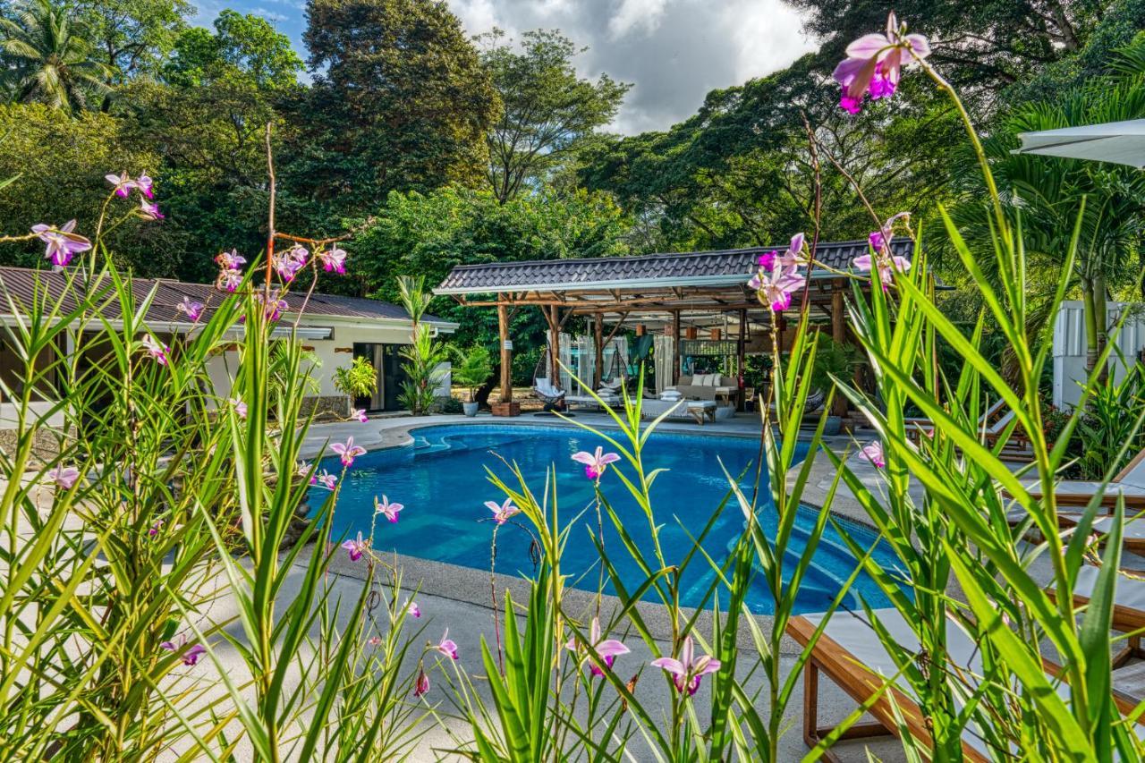 Tribe Boutique Hotel - Adults Only Dominical Ngoại thất bức ảnh