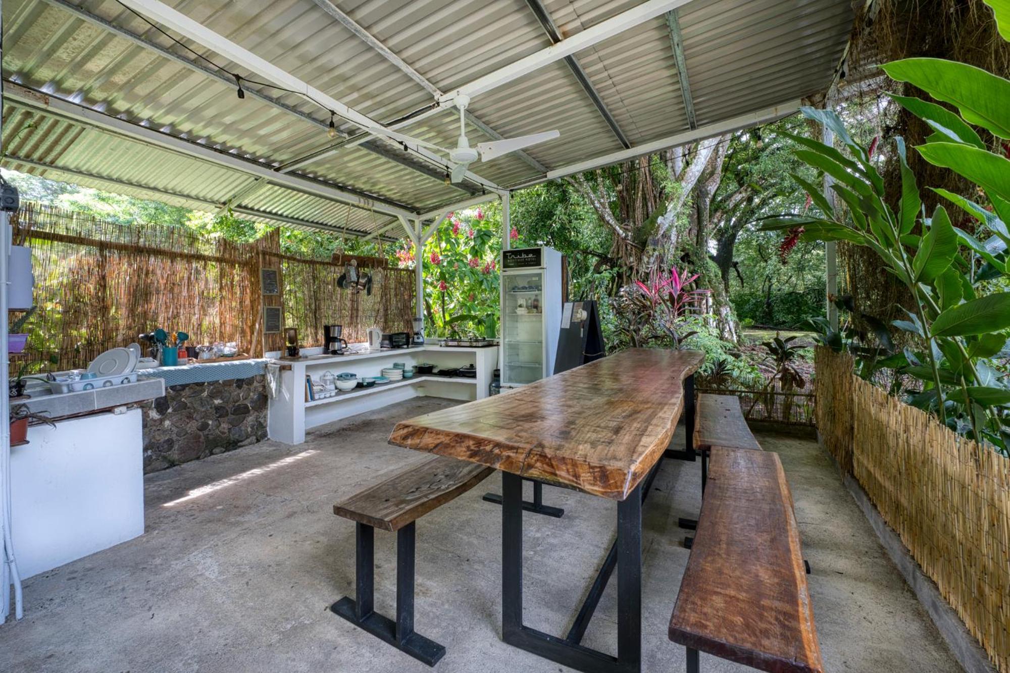 Tribe Boutique Hotel - Adults Only Dominical Ngoại thất bức ảnh